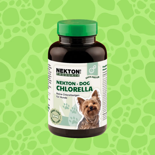 Nekton Dog Chlorella