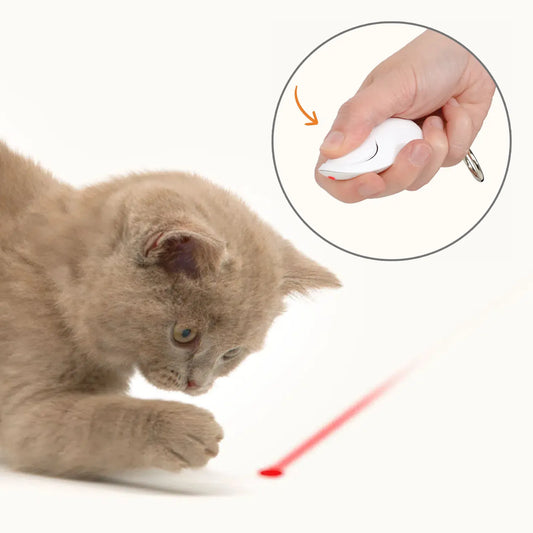 Laser Spielzeug Maus