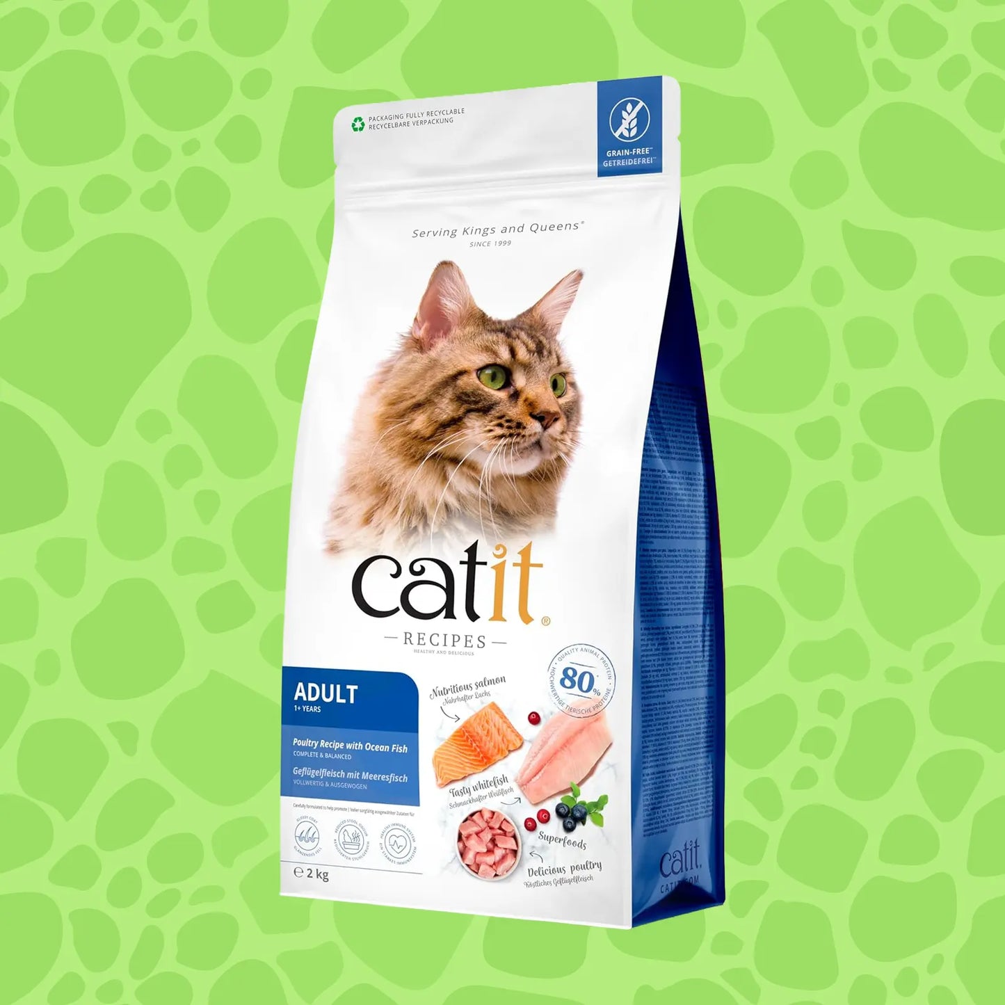 Catit Recipes Adult mit Fisch