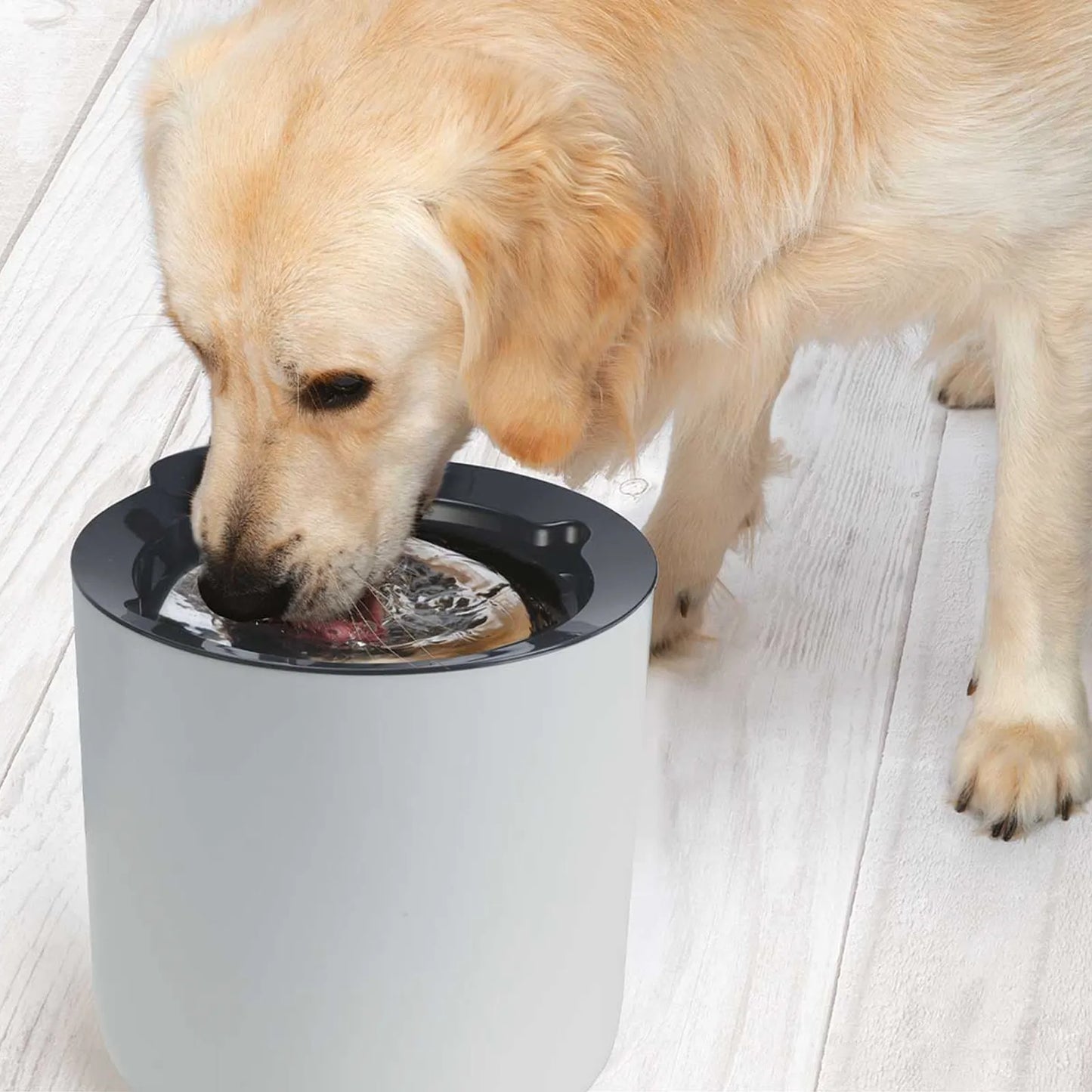 Oasis Plus Smart Fountain, 3l
