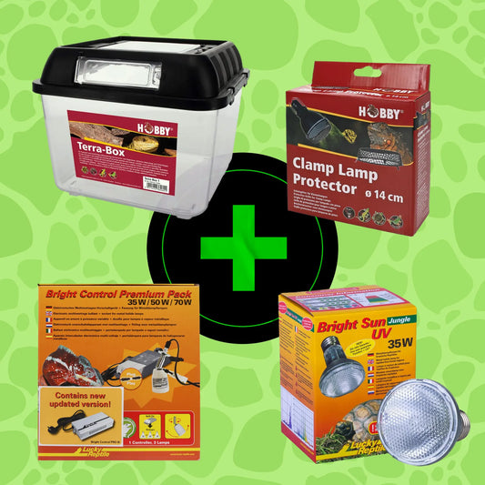 Crested Gecko Starter Kit