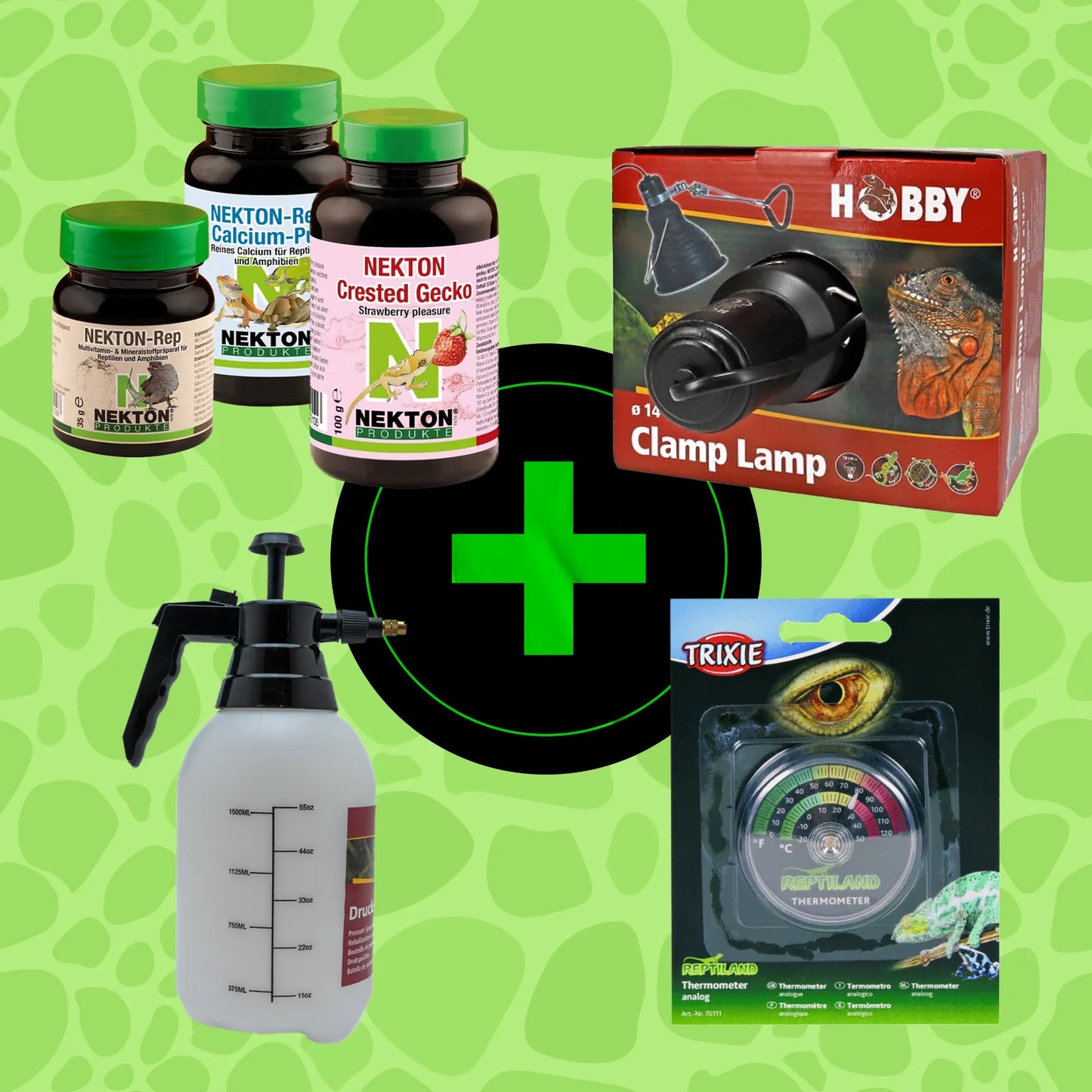 StarterKit Kronengecko