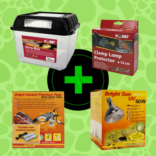 Starter Kit Leopard Gecko