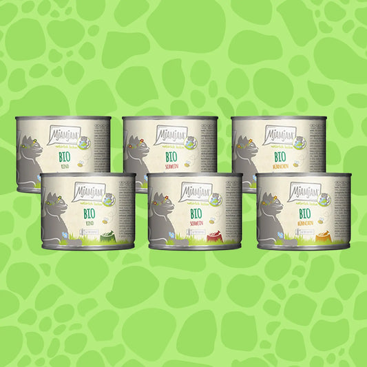 Mjamjam BIO Box