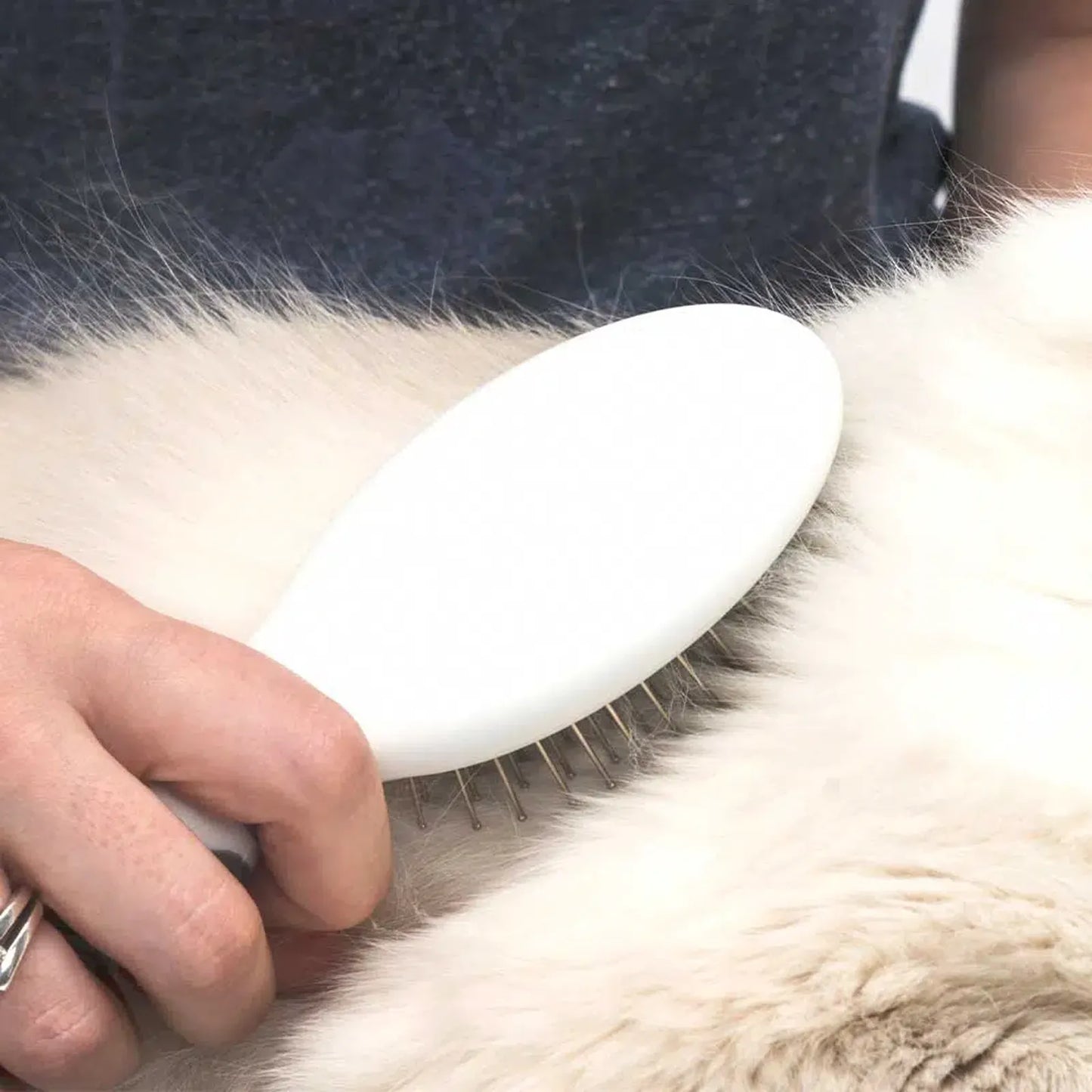 Bürsten-Set für langhaarige Katzen
