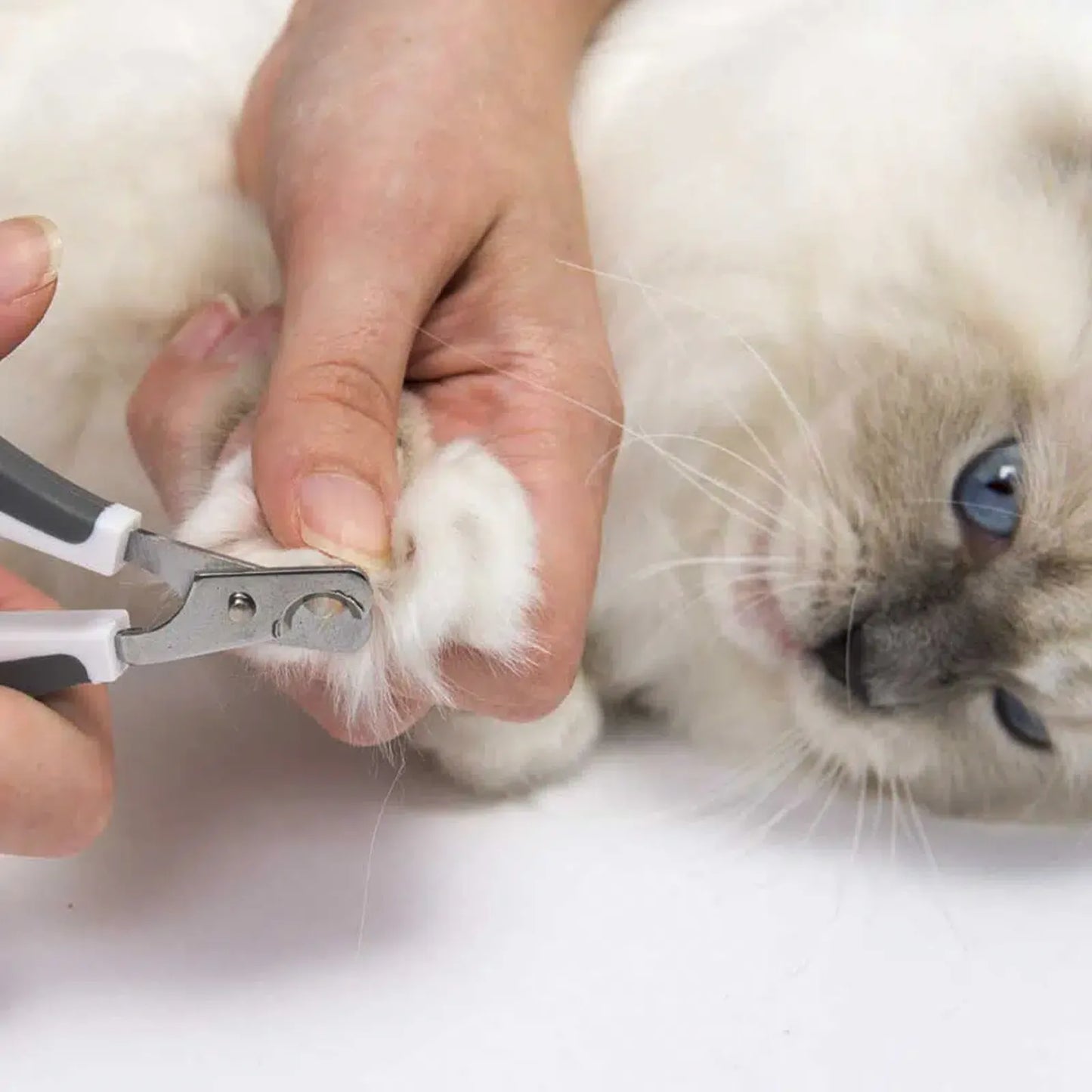Bürsten-Set für langhaarige Katzen