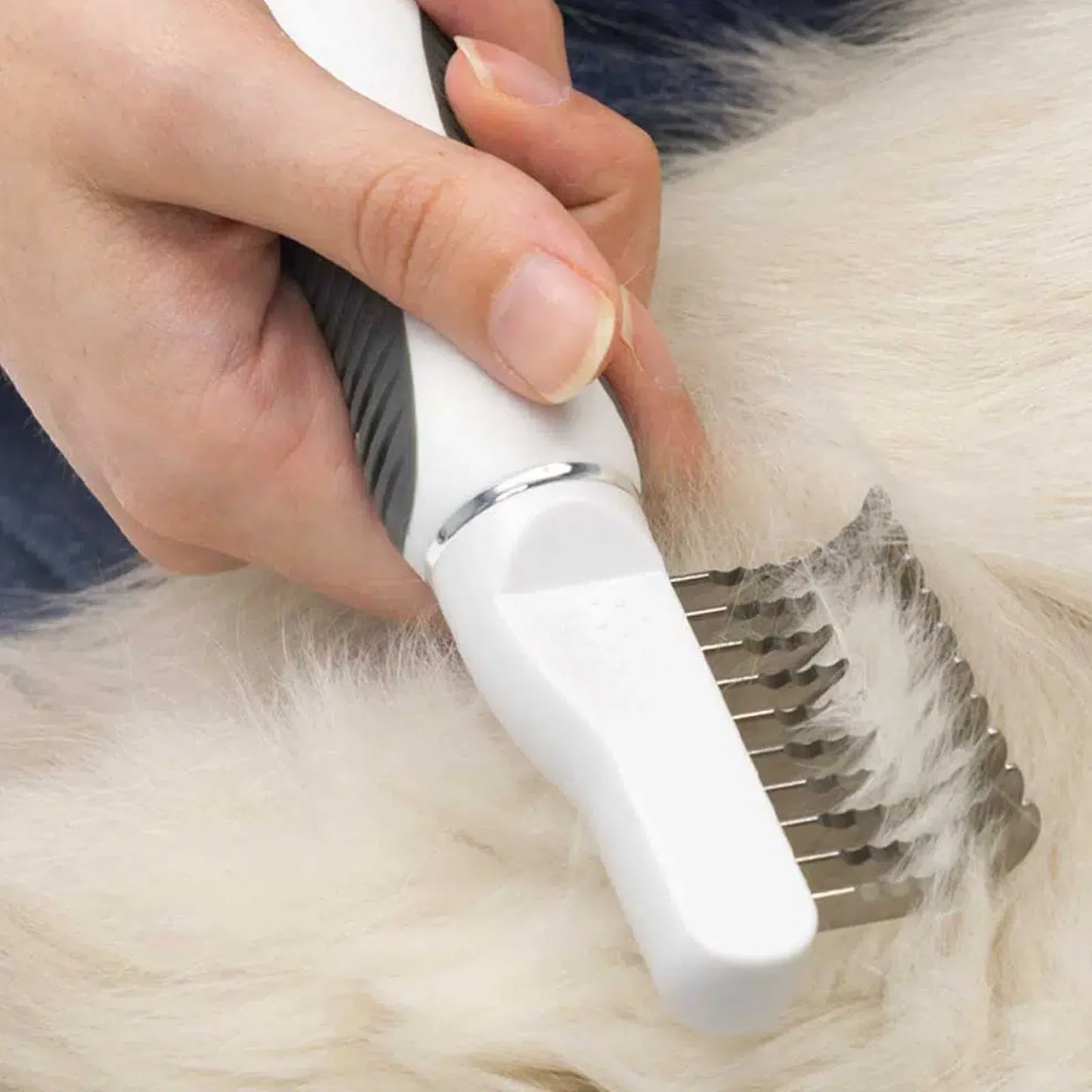 Bürsten-Set für langhaarige Katzen