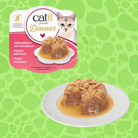Catit Cuisine Dinner