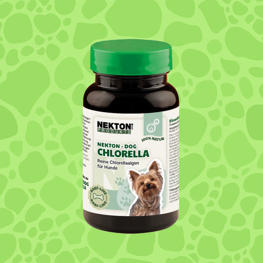 Nekton Dog Chlorella