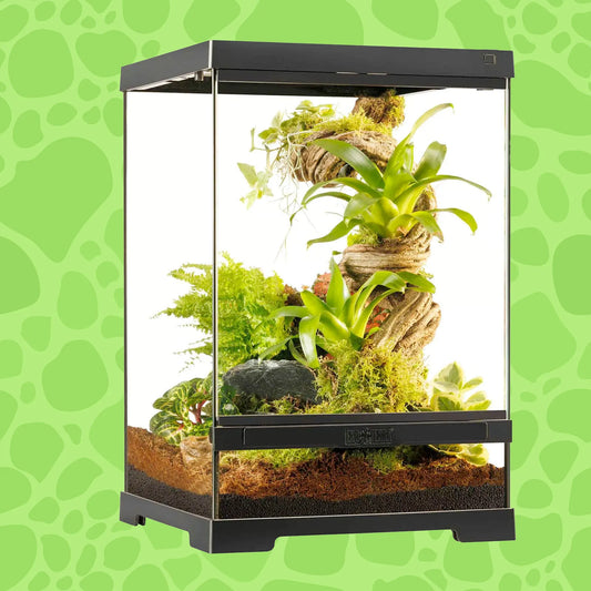 ExoTerra Glasterrarium Pro