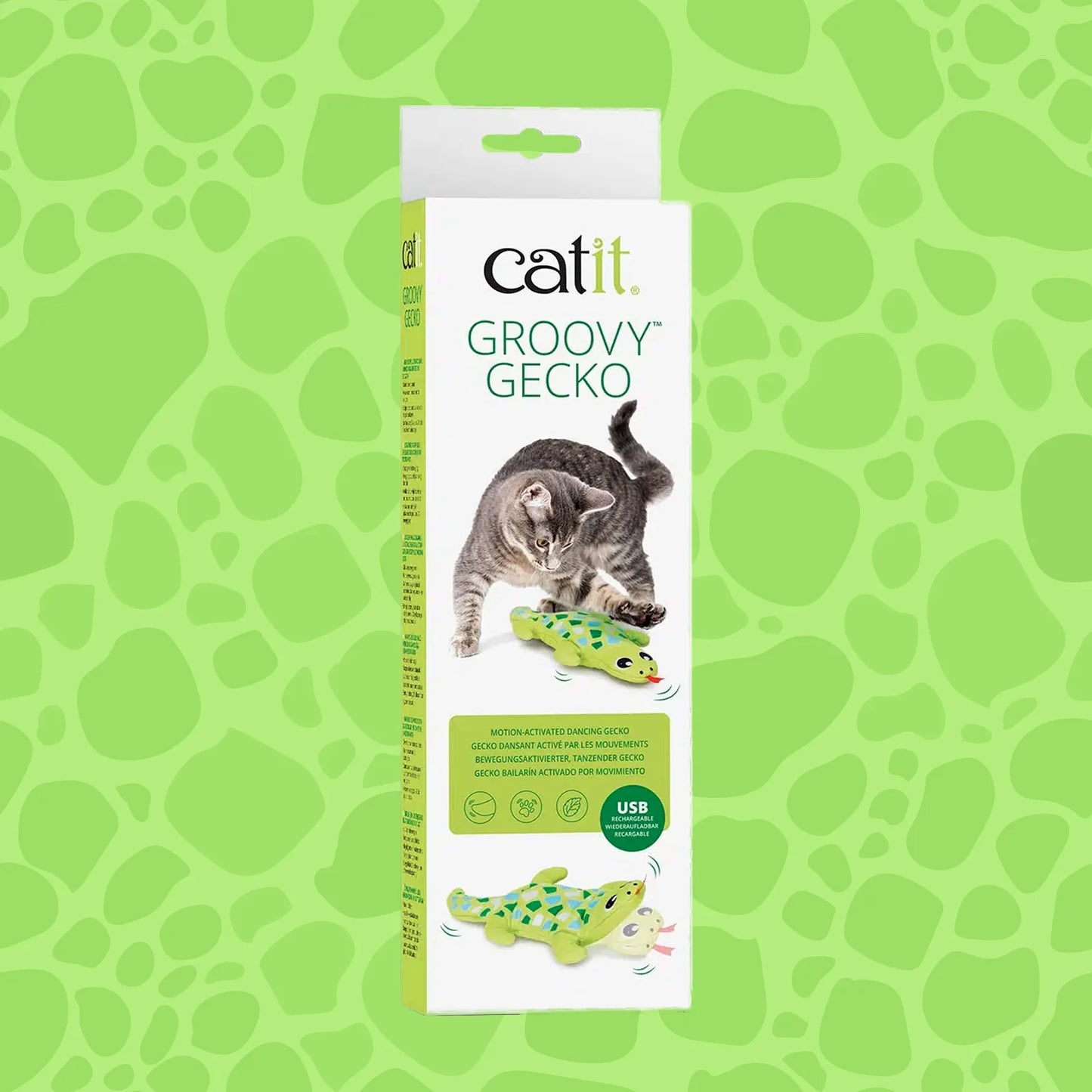 Groovy Gecko