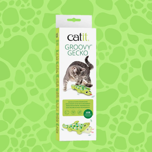 Groovy Gecko