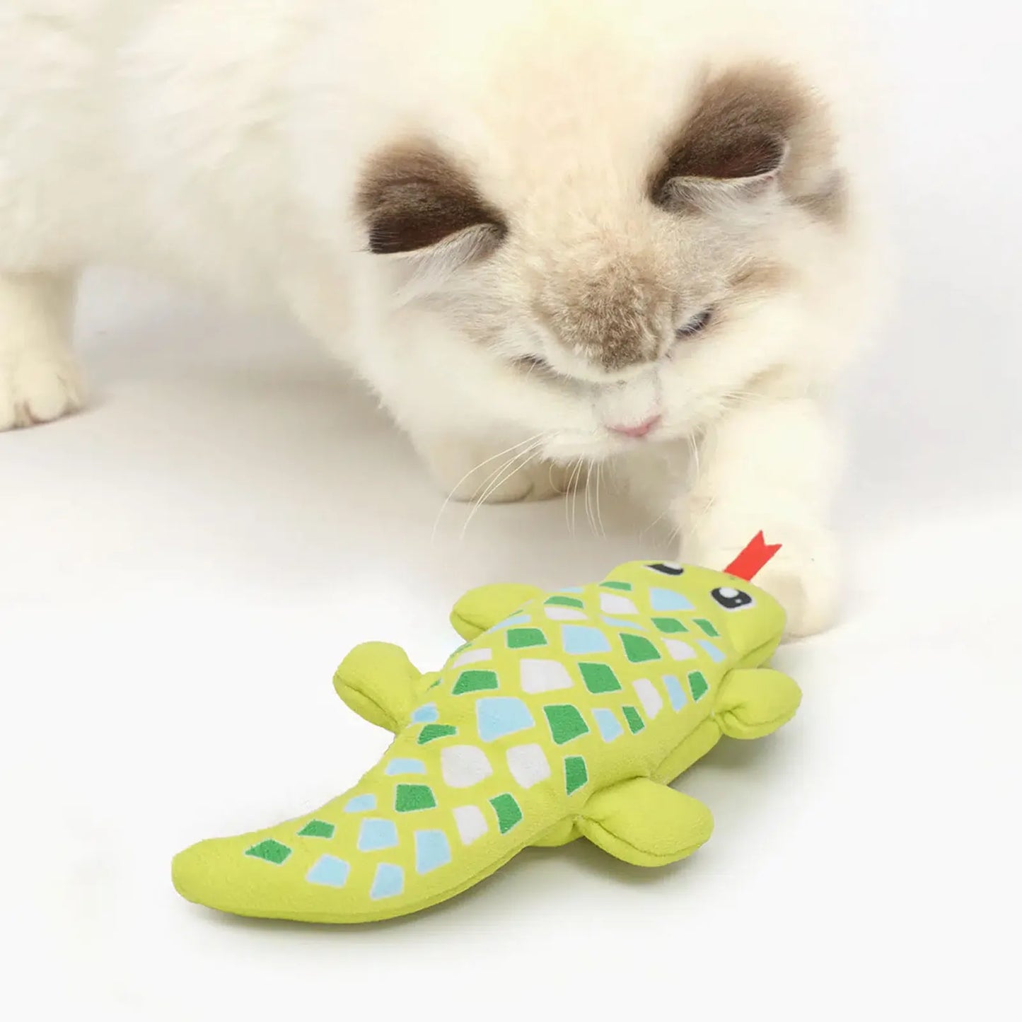 Groovy Gecko
