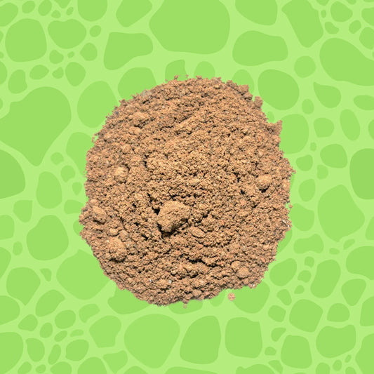 Desert Bedding Terrariensand