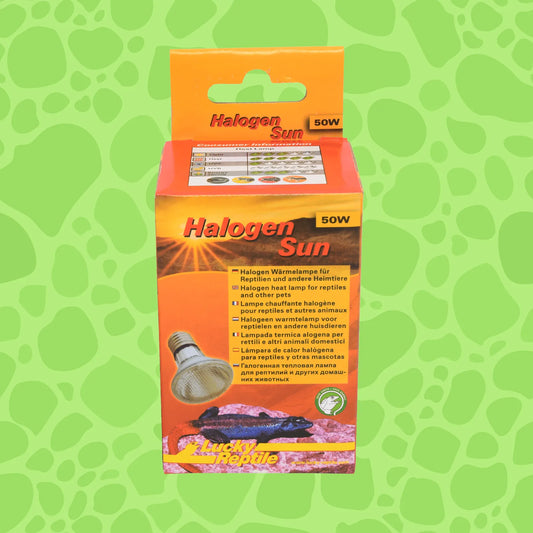 Lucky Reptile Bright Sun UV Jungle