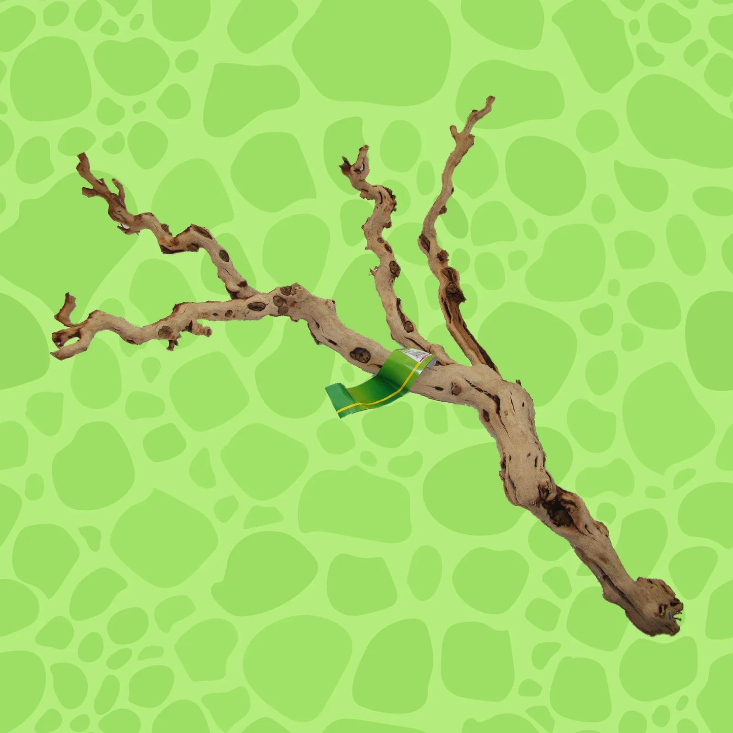 Trunk sections, cork branches