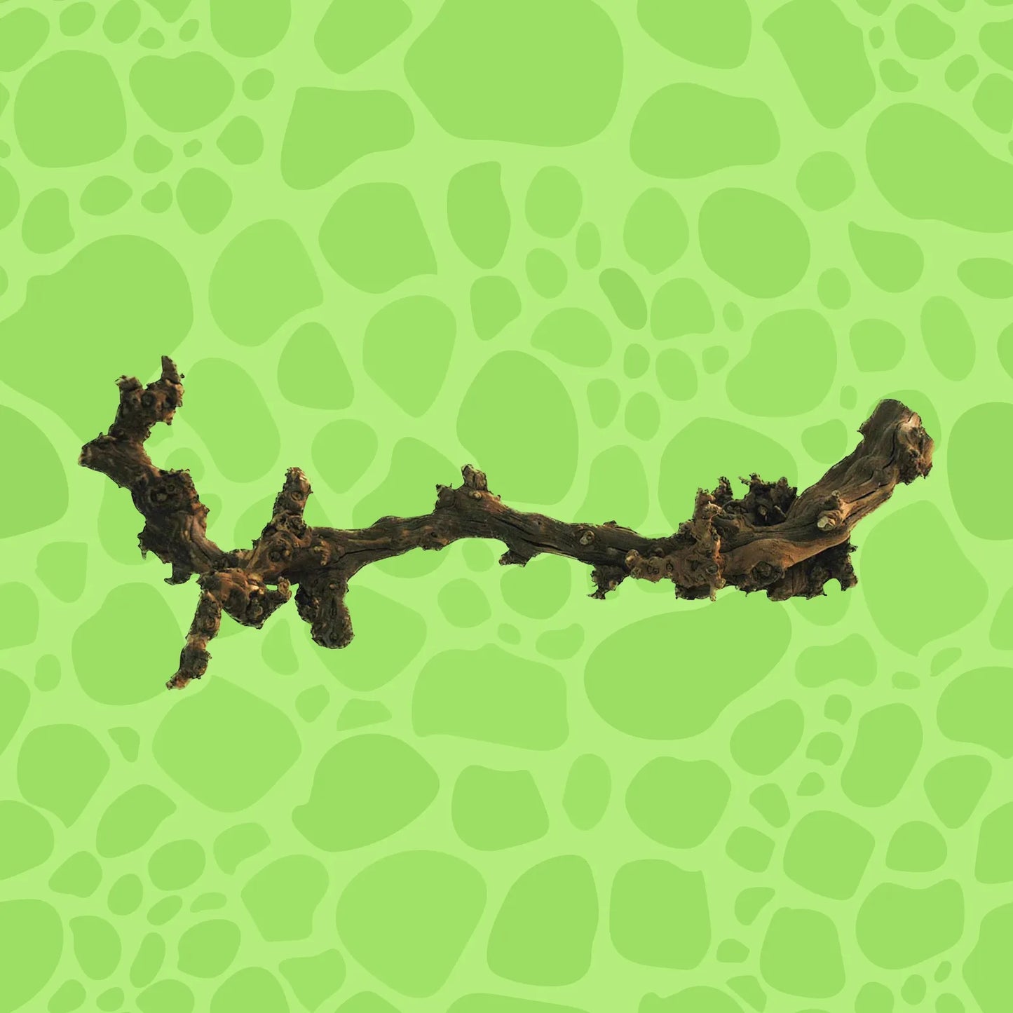 Trunk sections, cork branches