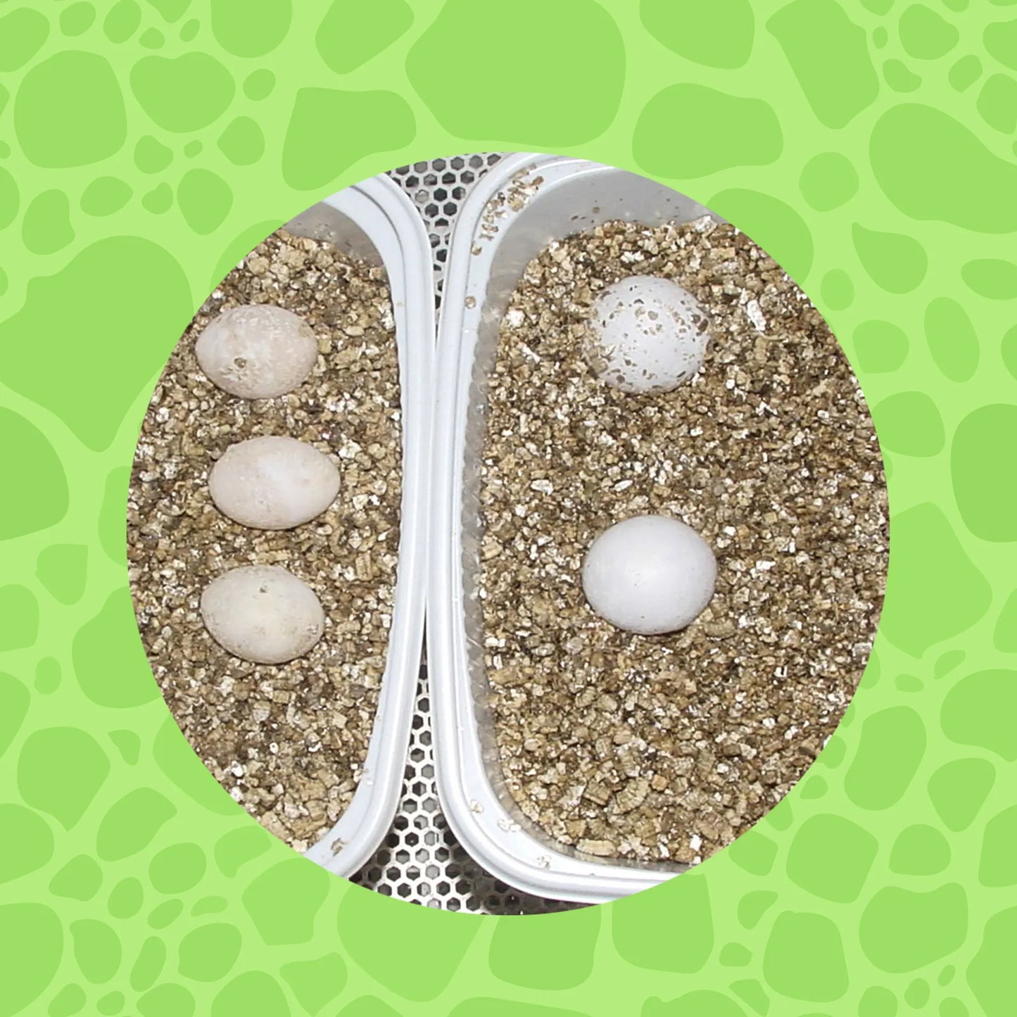 Vermiculite