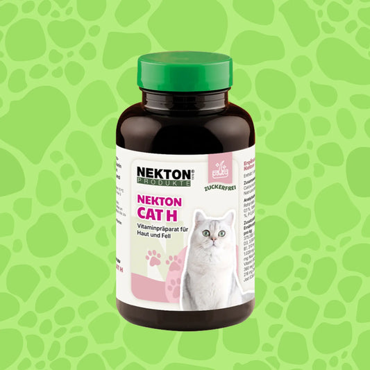 Nekton Cat H