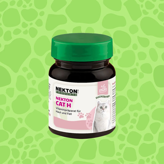 Nekton Cat H