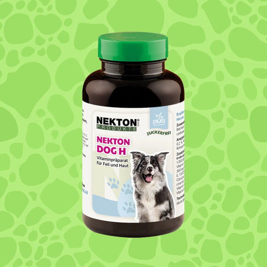 Nekton Dog H