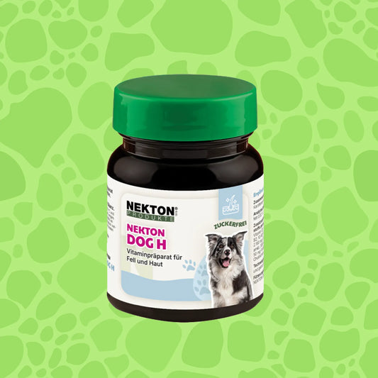 Nekton Dog H