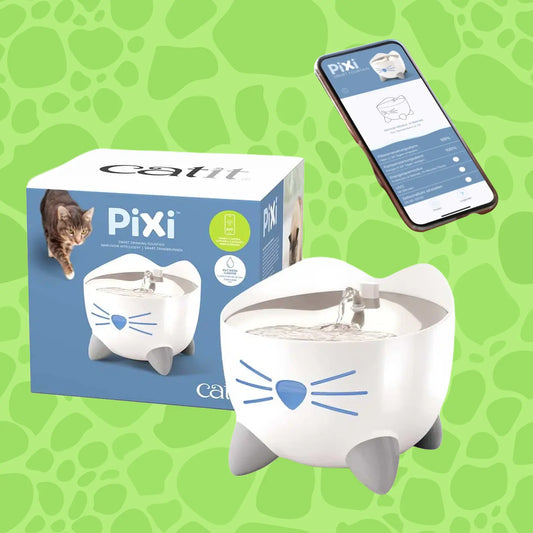 Pixi Smart Trinkbrunnen