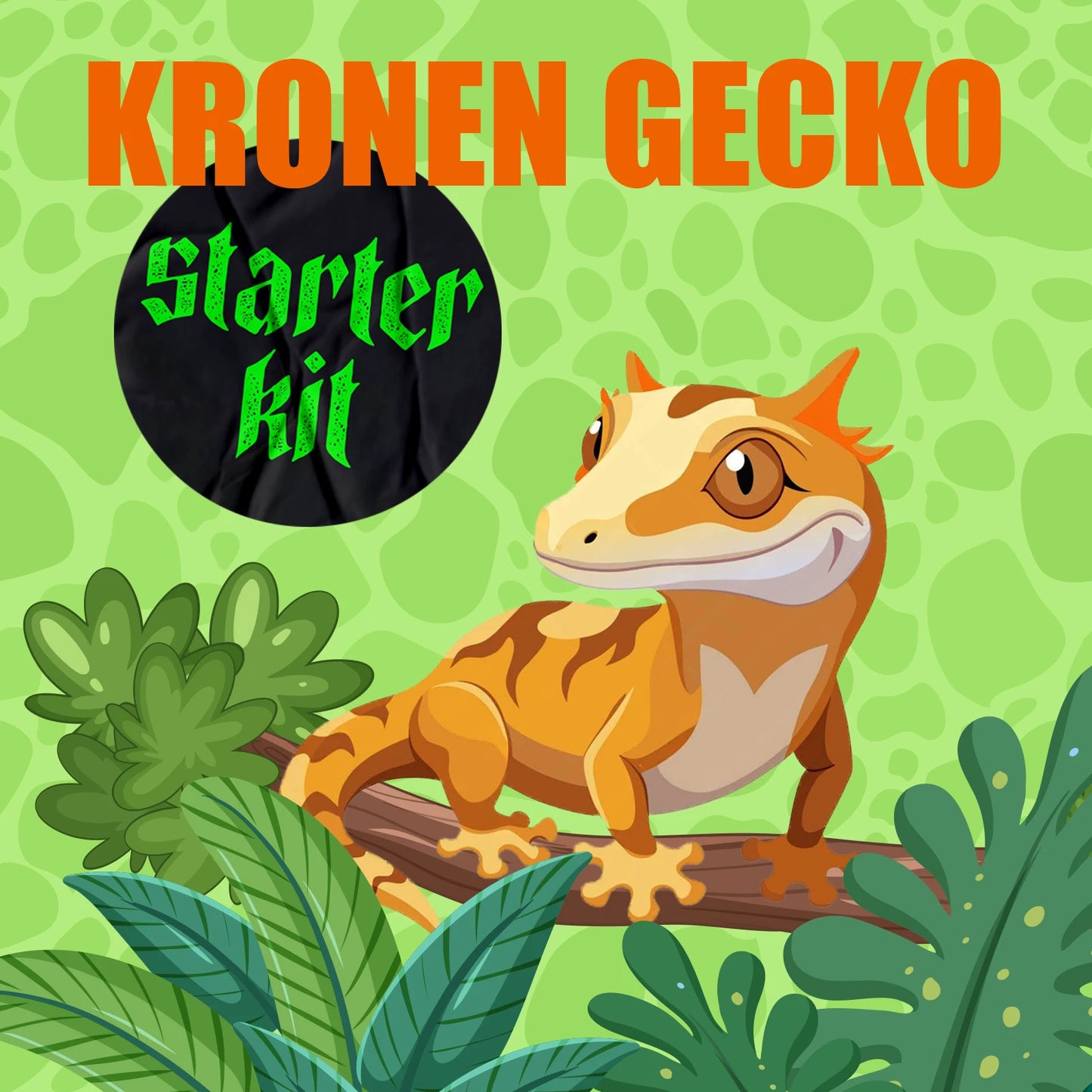 StarterKit Kronengecko