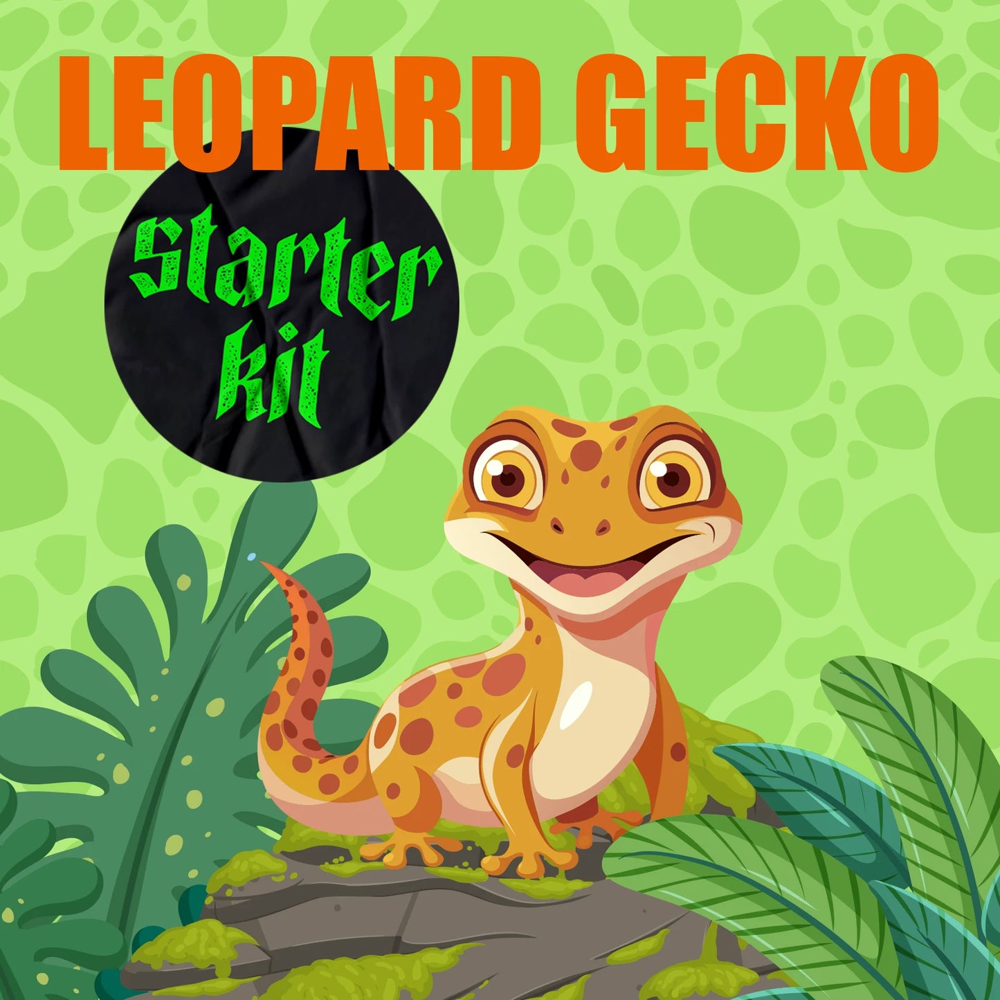 StarterKit Leopardgecko