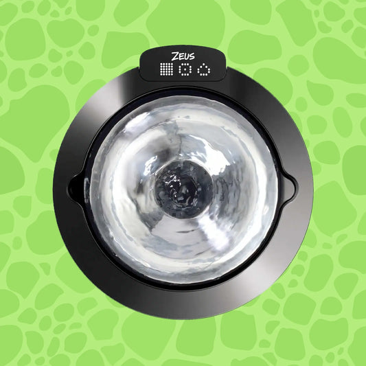 Oasis Plus Smart Fountain, 3l