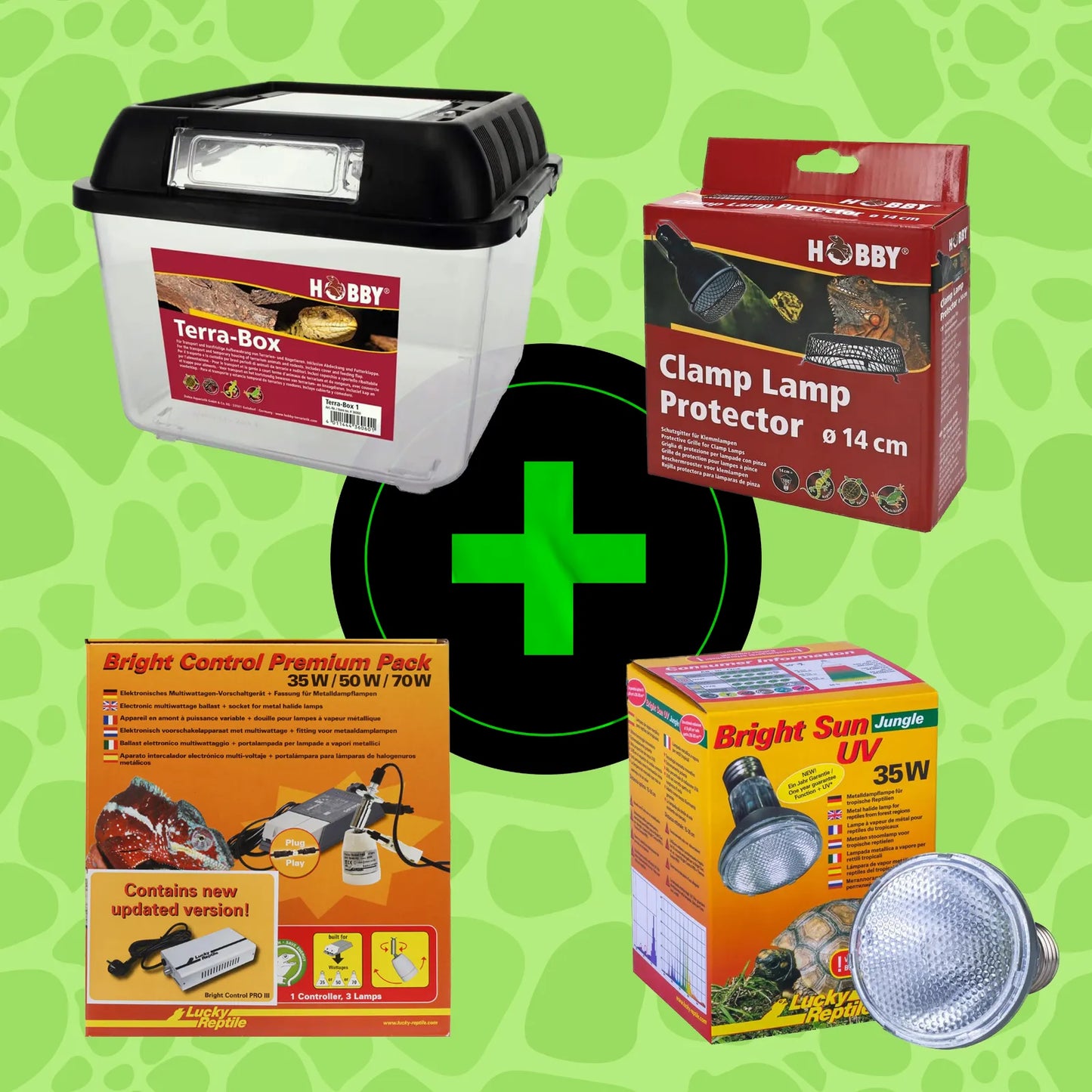 StarterKit Kronengecko