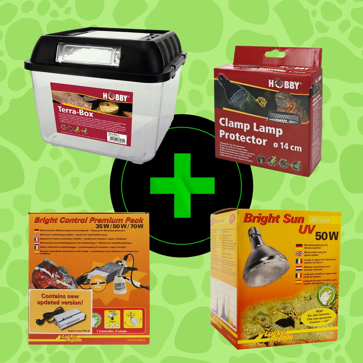 StarterKit Leopardgecko