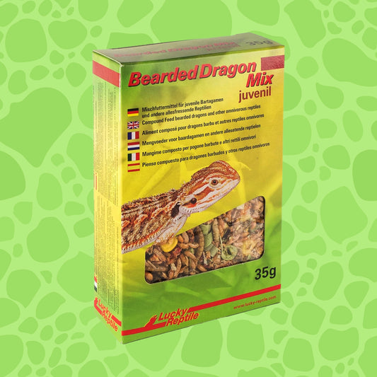 Lucky Reptile Bearded Dragon Mix Juvenil