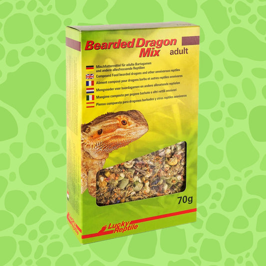 Lucky Reptile Bearded Dragon Mix Adult