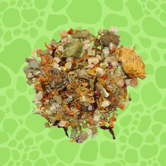 Lucky Reptile Bearded Dragon Mix Juvenil