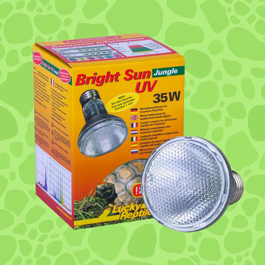 Lucky Reptile Brightsun UV Jungle