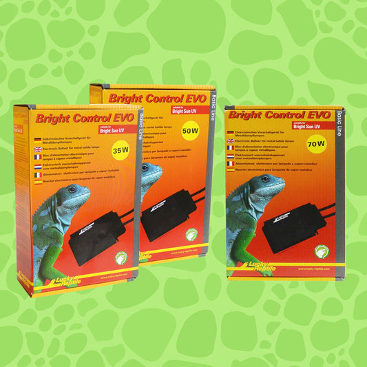 Lucky Reptile Bright Control EVO
