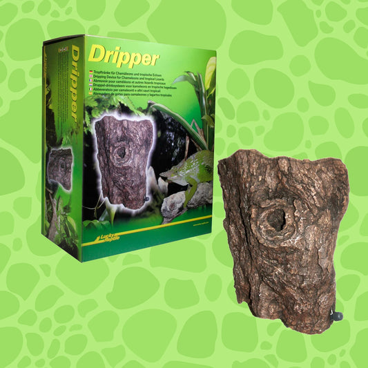 Lucky Reptile Dripper