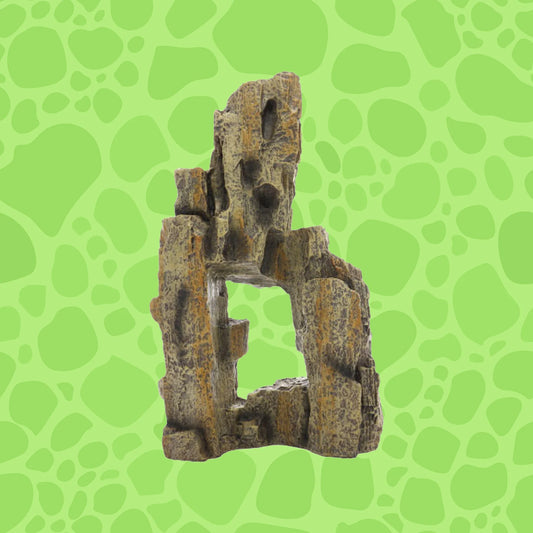 Hobby Fossil Rock
