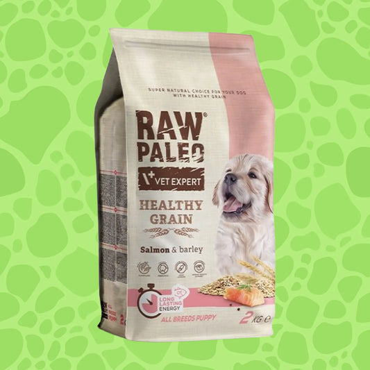 Raw Paleo Healthy Grain