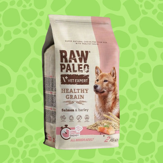 Raw Paleo Healthy Grain