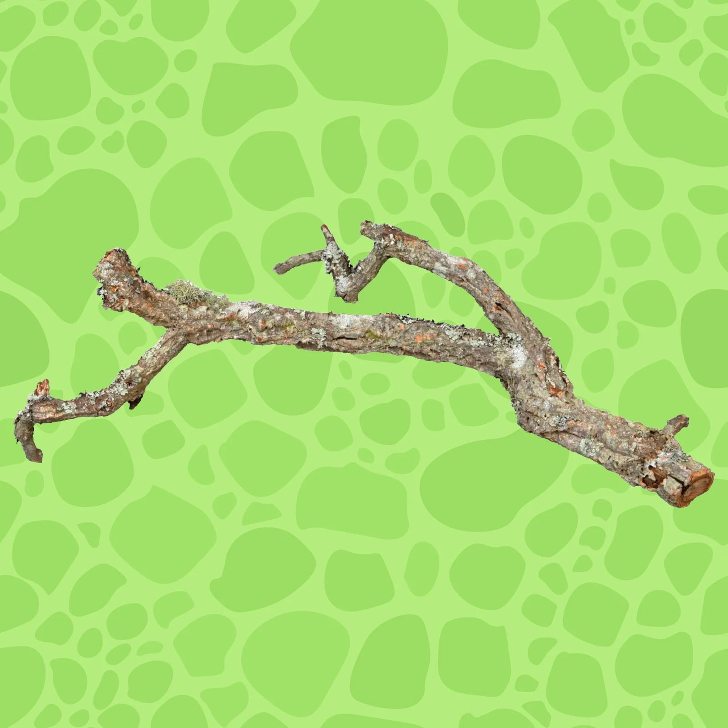 Trunk sections, cork branches