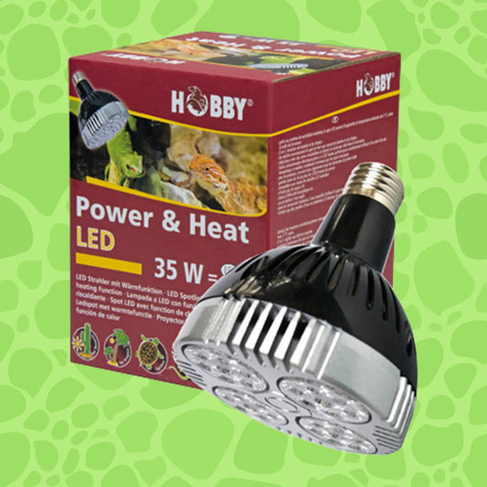 Hobby Moonlight LED