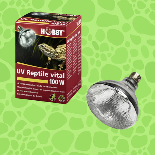 Hobby UV-Reptile vital