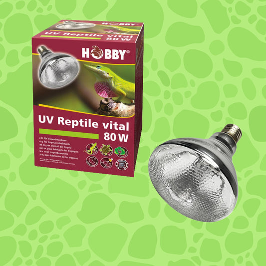 Hobby UV-Reptile vital