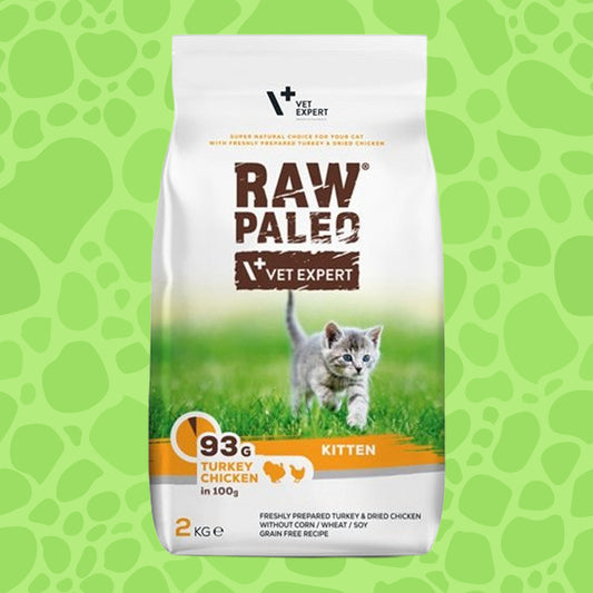 Raw Paleo Kitten