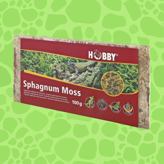 Sphagnum Moss