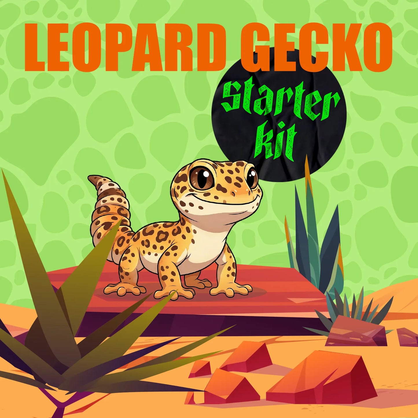 Starter Kit Leopard Gecko
