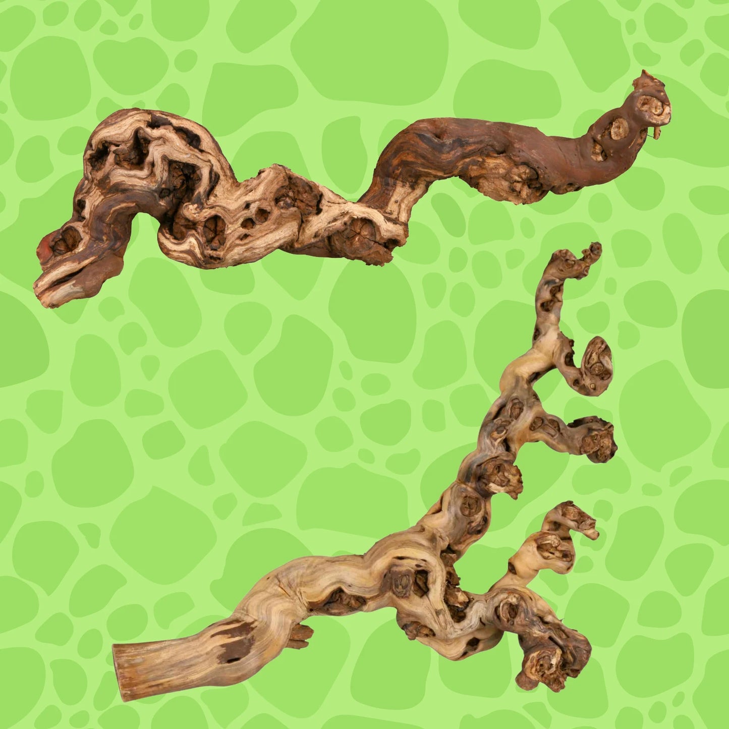 Weinrebe, wassergestraht